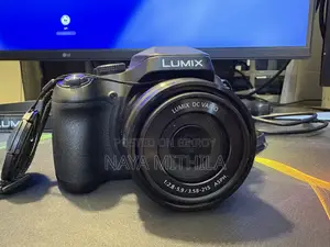 Panasonic Lumix Fz80d