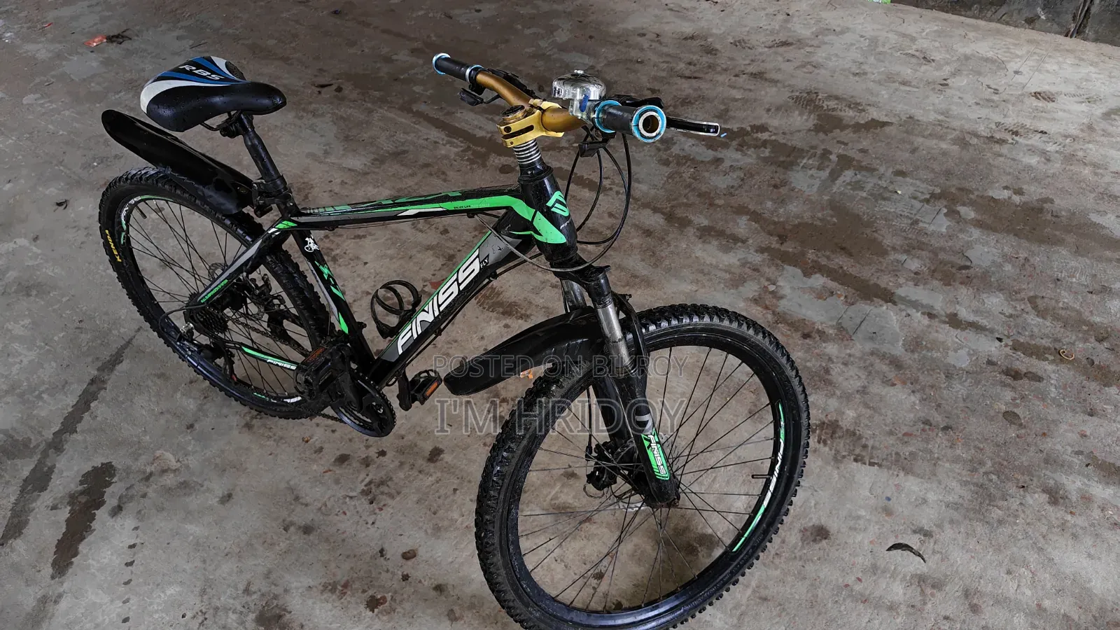FINISS Bicycle