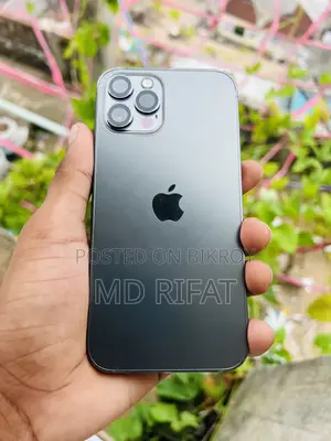অ্যাপল আইফোন ১২ প্রো ২৫৬ জিবি গ্রে