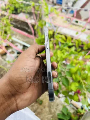 অ্যাপল আইফোন ১২ প্রো ২৫৬ জিবি গ্রে