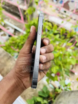 অ্যাপল আইফোন ১২ প্রো ২৫৬ জিবি গ্রে