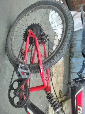 Beach 2024 Red
