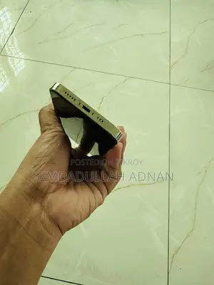 অ্যাপল আইফোন ১৩ প্রো ২৫৬ জিবি হোয়াইট