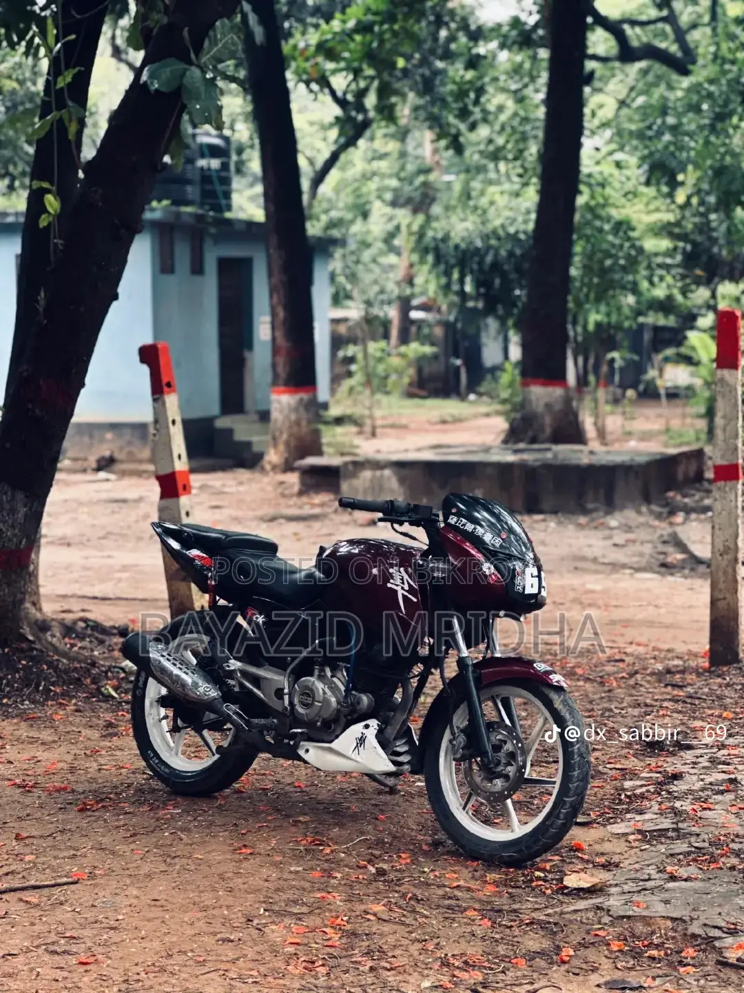 বাজাজ পালসার ১৫০ ২০১৭ লাল