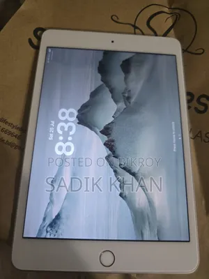 Apple iPad Mini 5 256 GB Silver