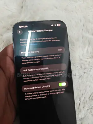 অ্যাপল আইফোন ১৩ প্রো ম্যাক্স ১২৮ জিবি গ্রিন