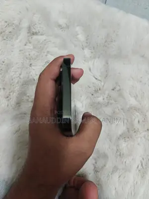 অ্যাপল আইফোন ১৩ প্রো ম্যাক্স ১২৮ জিবি গ্রিন