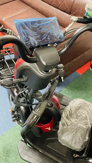 New Tricycle 2026 Blue
