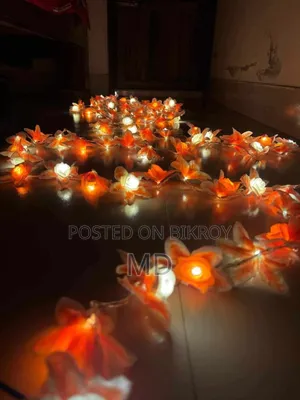80 LED Flower String Light | 25 Feet | 3 Lighting Modes | Home Decor