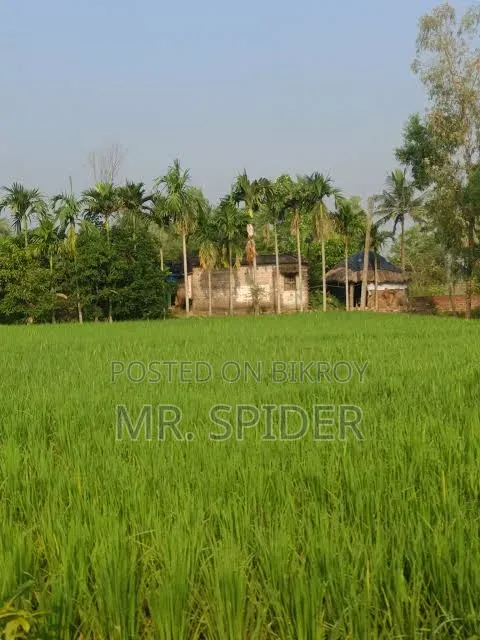 টার্মিনাল থেকে একটু দূরে নিরিবিলি পরিবেশে ৩ শতক জমি বিক্রি