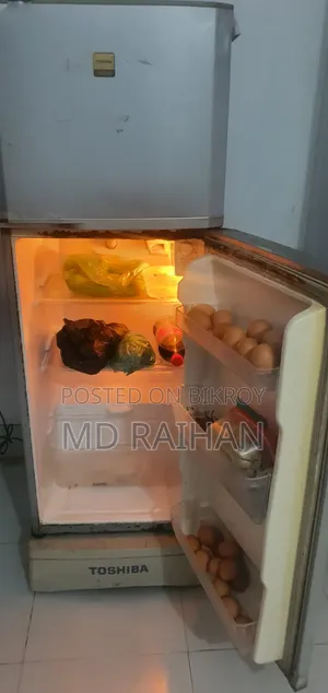 No Frost বরফ জমবে না