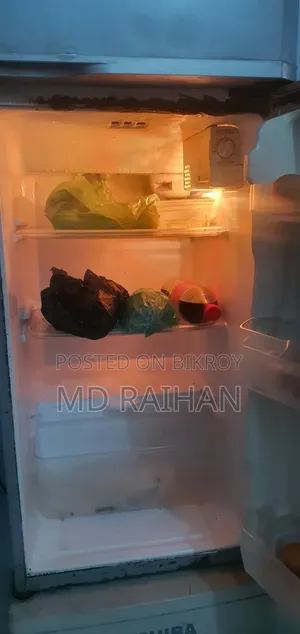 No Frost বরফ জমবে না