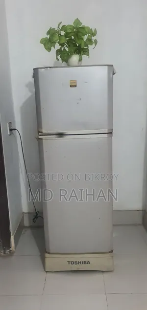 No Frost বরফ জমবে না