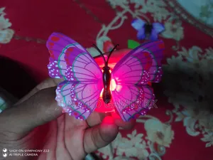 Butterfly Light