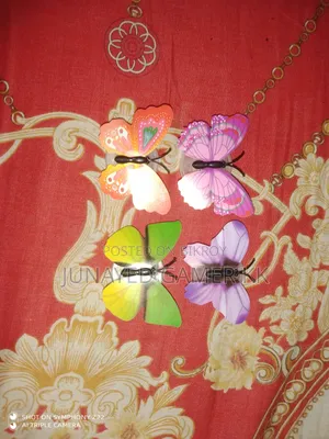 Butterfly Light