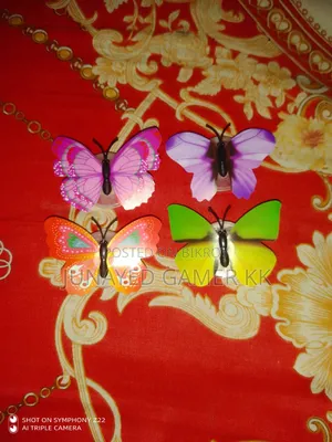 Butterfly Light