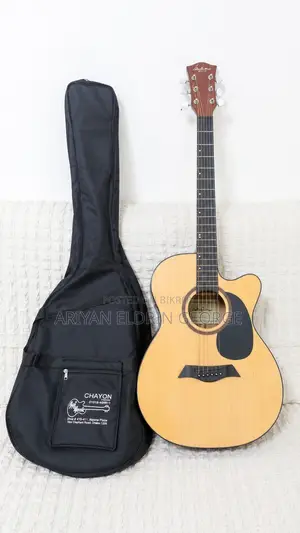Adam Smith 570 Guitar