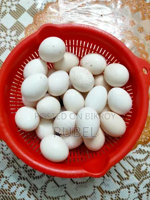 দেশি মুরগীর ডিম