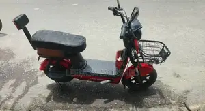 Electric Bike 2025 Red