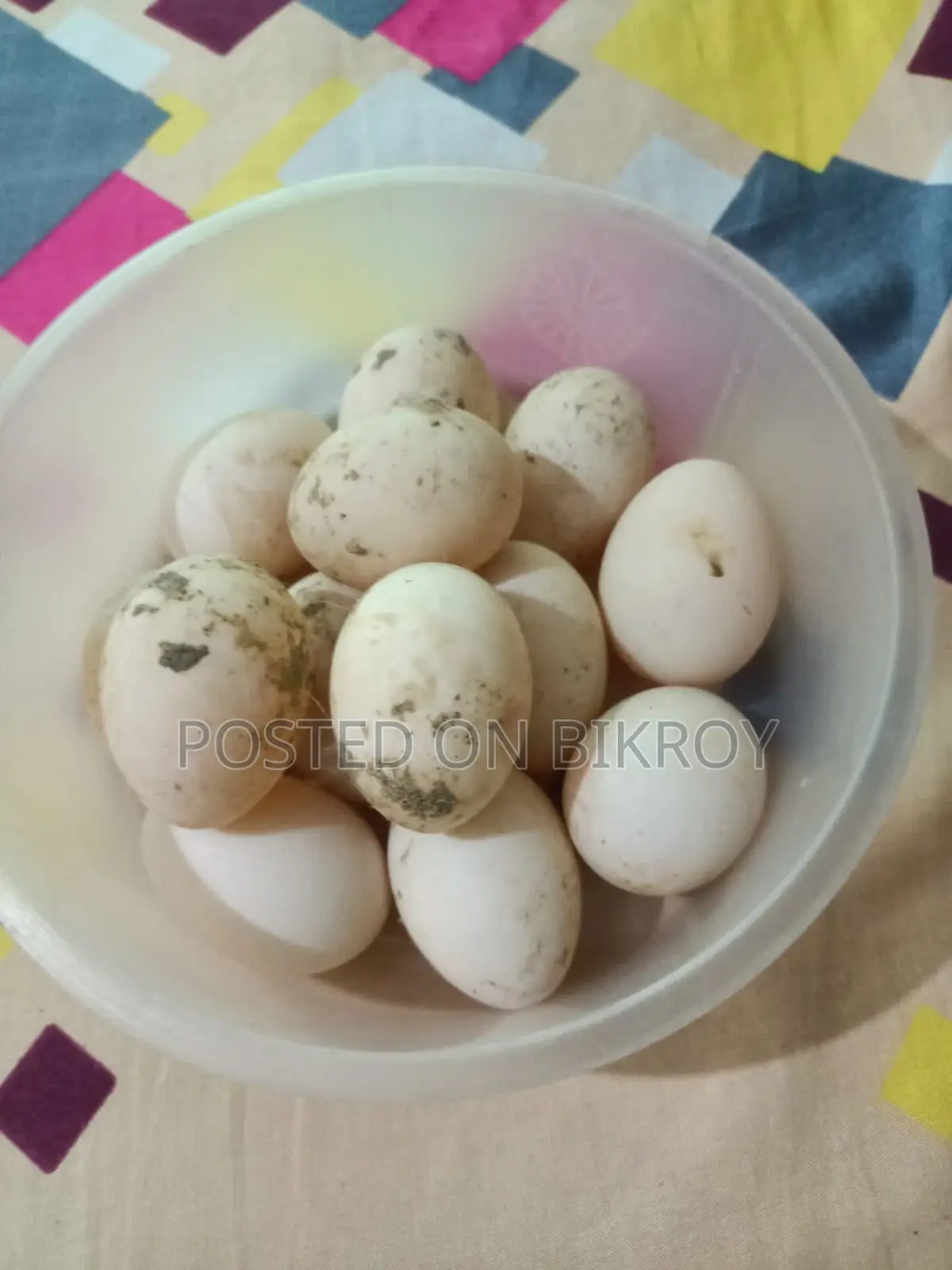 চাইনা হাঁসের বীজ ডিম