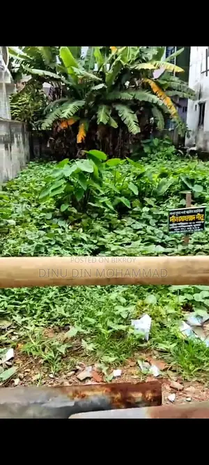 সোনাডাঙ্গা খোকন কমিশনারের গলির কালভাটের মোর থেকে সামান্য সামনে