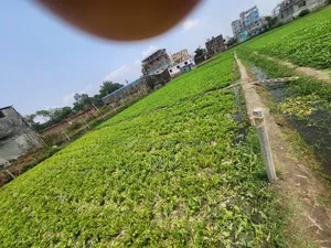 Land for Sale (Halishahar Beribandh)