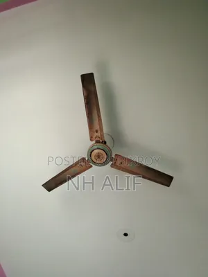 Ceiling Fan