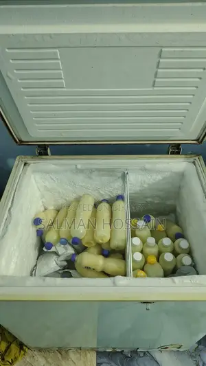 ডিপ ফ্রিজ ফর সেল