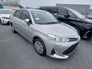 Toyota Axio 2021 Silver