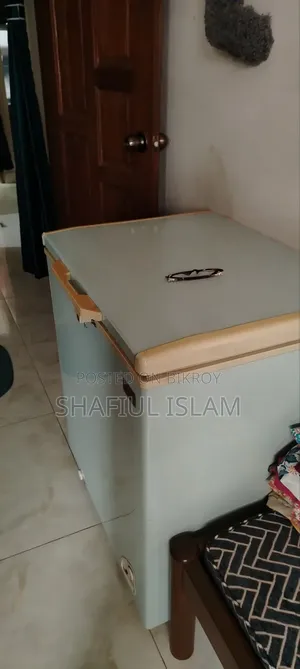 ইকো ডিপ ফ্রীজ