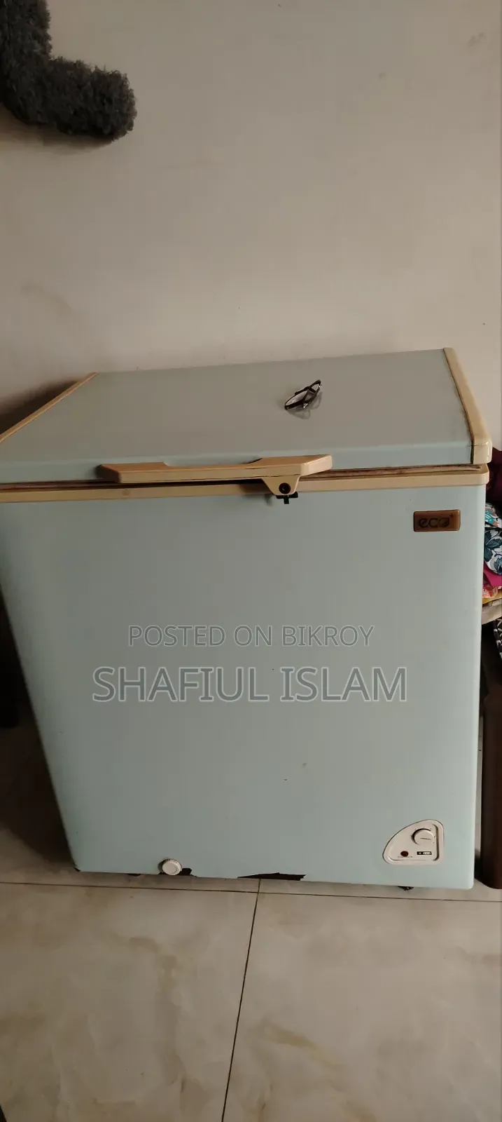 ইকো ডিপ ফ্রীজ