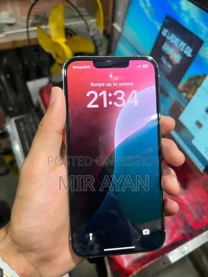 অ্যাপল আইফোন ১৩ প্রো ১২৮ জিবি গ্রে