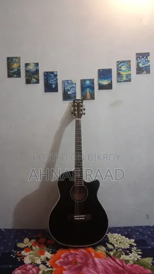 TGM 48c Guitar