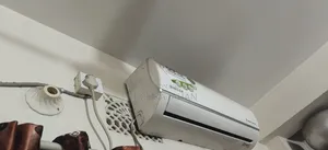 নতুনের মত ২ টা এছি