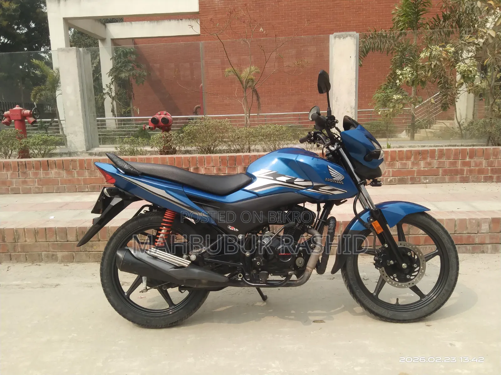 Honda Livo 2020 Blue
