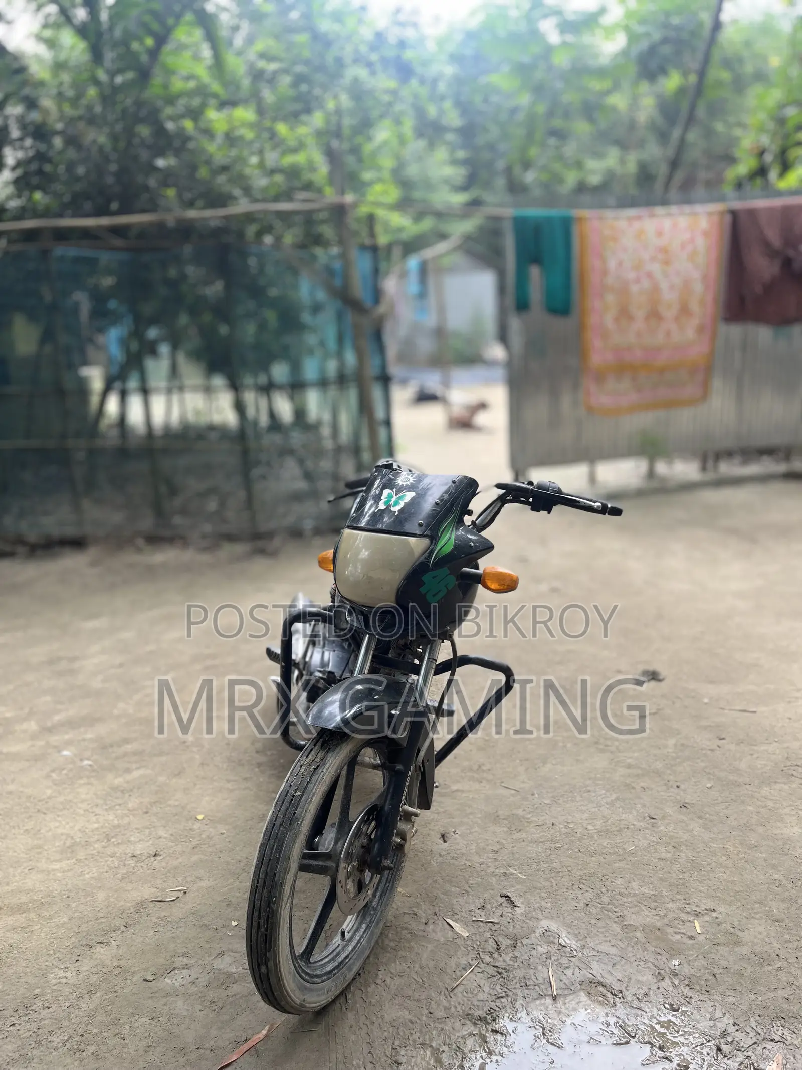 H Power STAR-100 2012 Black
