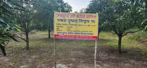 জমির শেয়ার বিক্রয় চলছে