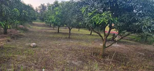 জমির শেয়ার বিক্রয় চলছে