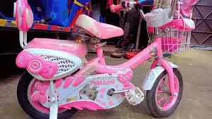 Baby Cycle Pink 12 Inch