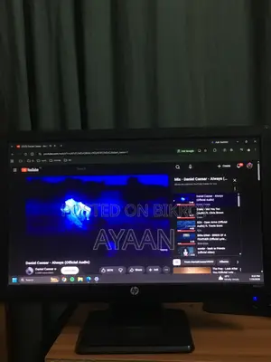 HP Lv1911 Monitor