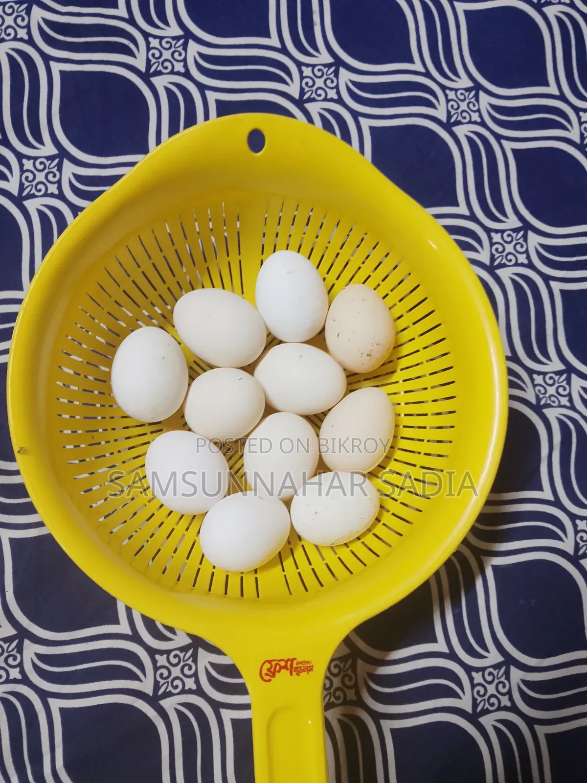 মিশরীয় ফাওমী মুরগির বীজ ডিম
