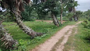৮৫ হাজার টাকা শতাংশ ৩৫ শতাংশ জমি বিক্রি হবে |