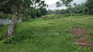 ৮৫ হাজার টাকা শতাংশ ৩৫ শতাংশ জমি বিক্রি হবে |