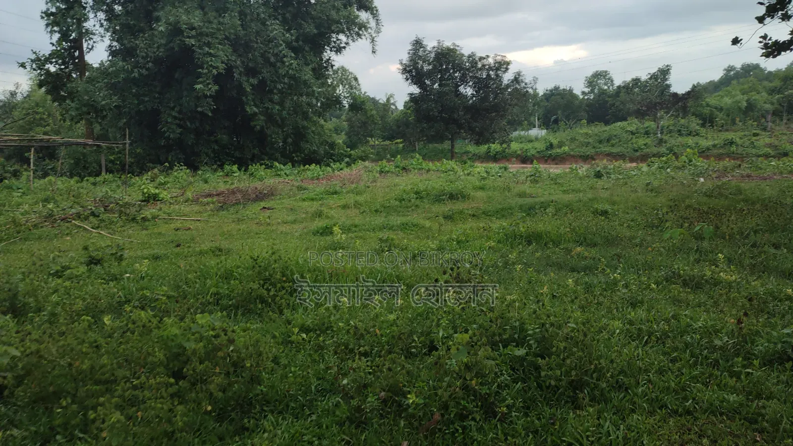 ৮৫ হাজার টাকা শতাংশ ৩৫ শতাংশ জমি বিক্রি হবে |