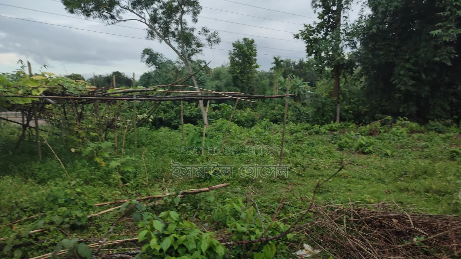 ৮৫ হাজার টাকা শতাংশ ৩৫ শতাংশ জমি বিক্রি হবে |