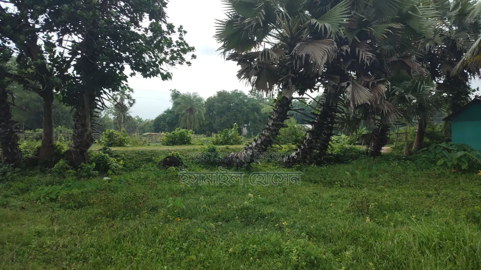 ৮৫ হাজার টাকা শতাংশ ৩৫ শতাংশ জমি বিক্রি হবে |