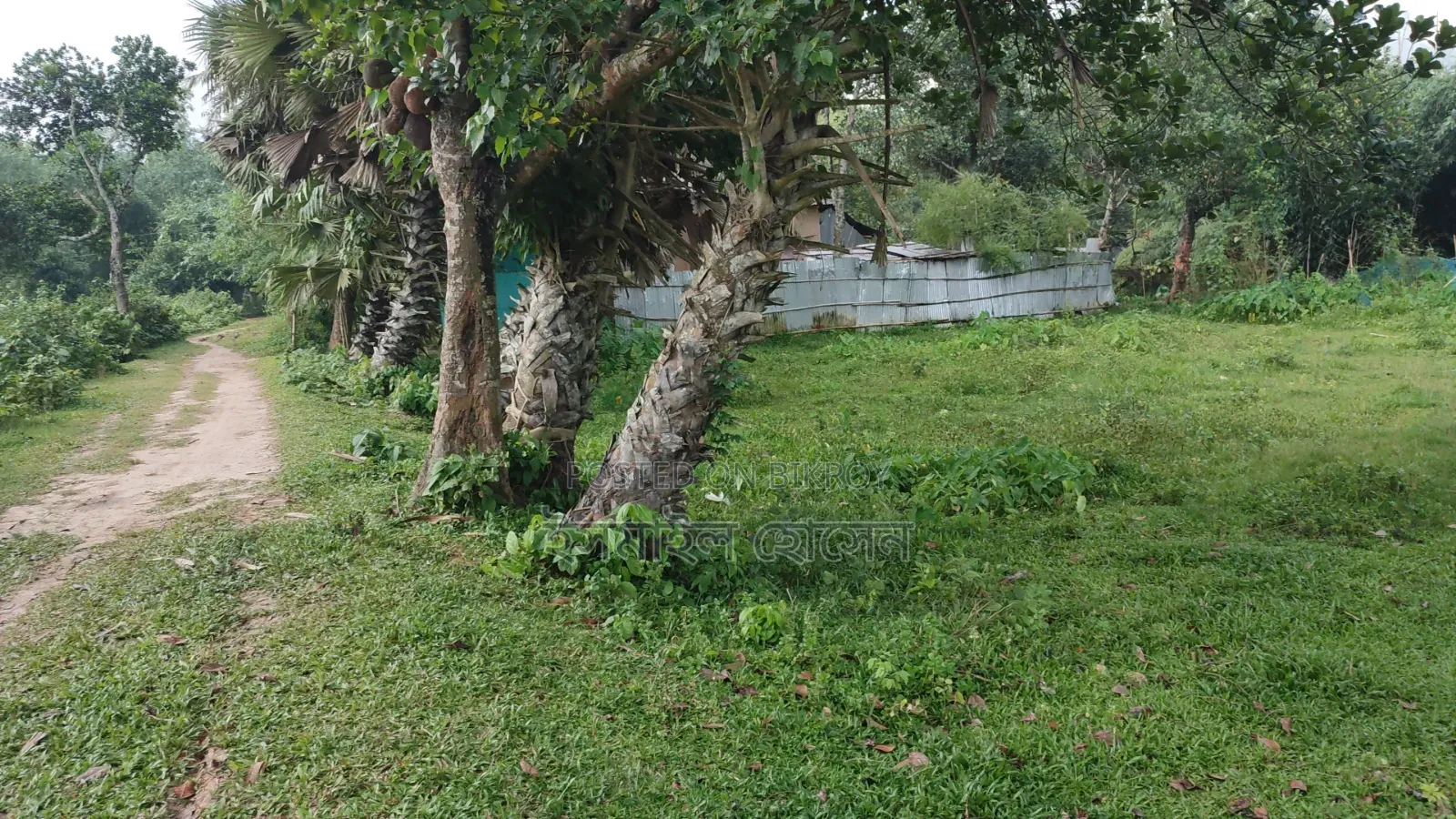 ৮৫ হাজার টাকা শতাংশ ৩৫ শতাংশ জমি বিক্রি হবে |