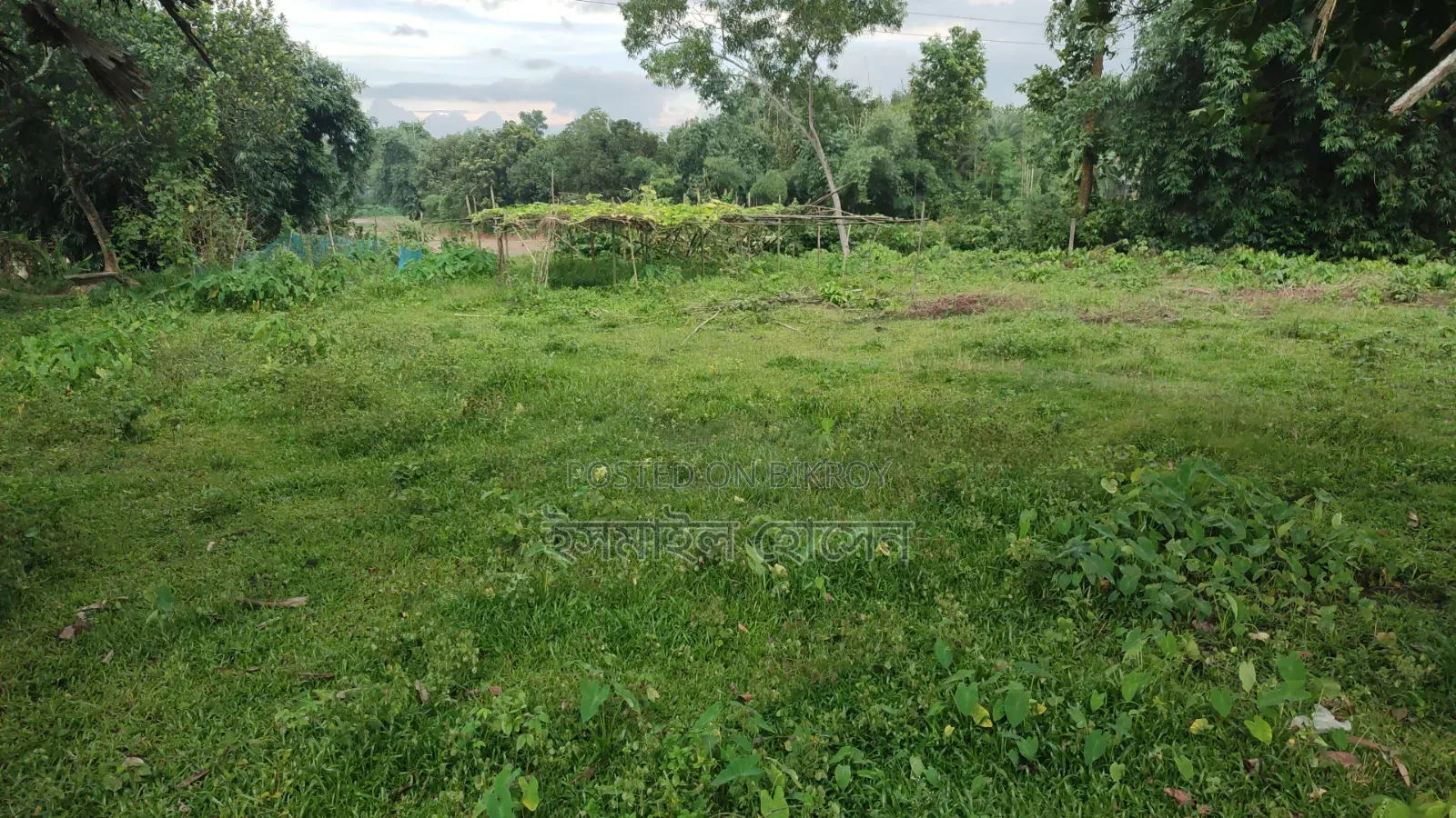 ৮৫ হাজার টাকা শতাংশ ৩৫ শতাংশ জমি বিক্রি হবে |