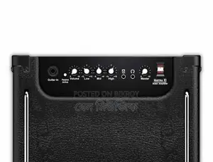 20 Watt Bass Guitar Amplifier Alphanso