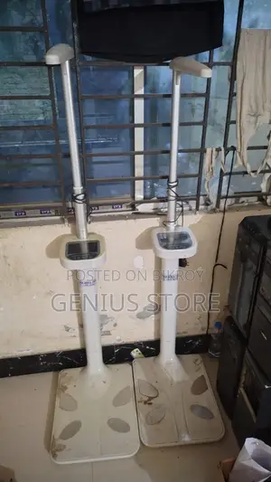 ওয়েট এন্ড হাইট স্কেল